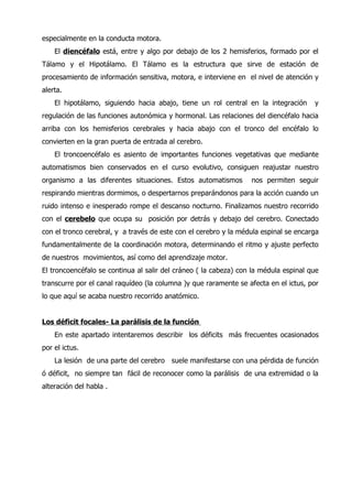 Sistema nervioso - el cerebro