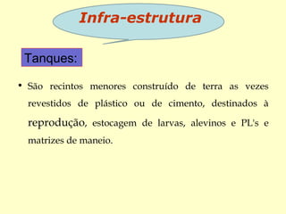 • São recintos menores construído de terra as vezes
revestidos de plástico ou de cimento, destinados à
reprodução, estocagem de larvas, alevinos e PL's e
matrizes de maneio.
Infra-estrutura
Tanques:
 