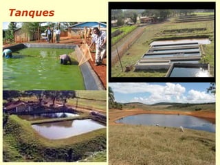 Tanques
 