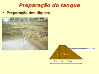 • Preparação dos diques;
Preparação do tanque
 