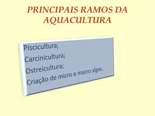 PRINCIPAIS RAMOS DA
AQUACULTURA
 
