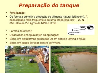 Preparação do tanque
• Fertilização.
• De forma a permitir a produção do alimento natural (plâncton). A
necessidade mais frequente é de uma proporção 20 P – 20 N –
05K. Usa-se 2-9 kg/ha de NPK e Ureia.
• Formas de aplicar:
• Dissolvidos em água antes da aplicação;
• Seco, em plataformas colocadas 30 cm sobre a lâmina d'água;
• Seco, em sacos porosos dentro do viveiro.
 