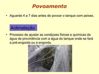 Povoamento
• Aguarde 4 a 7 dias antes de povoar o tanque com peixes.
• Processo de ajustar as condiçoes físicas e químicas da
água de proviniência com a água do tanque onde se fará
a pré-engorda ou a engorda.
Aclimatação
 