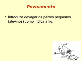 Povoamento
• Introduza devagar os peixes pequenos
(alevinos) como indica a fig.
 