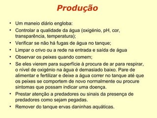 Produção
• Um maneio diário engloba:
• Controlar a qualidade da água (oxigénio, pH, cor,
transparência, temperatura);
• Verificar se não há fugas de água no tanque;
• Limpar o crivo ou a rede na entrada e saída de água
• Observar os peixes quando comem;
• Se eles vierem para superfície à procura de ar para respirar,
o nível de oxigénio na água é demasiado baixo. Pare de
alimentar e fertilizar e deixe a água correr no tanque até que
os peixes se comportem de novo normalmente ou procure
sintomas que possam indicar uma doença.
• Prestar atenção a predadores ou sinais da presença de
predadores como sejam pegadas.
• Remover do tanque ervas daninhas aquáticas.
 