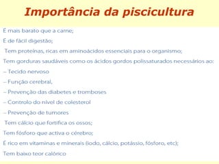 Importância da piscicultura
 
