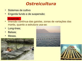 • Sistemas de cultivo
• Engorda fundo e de suspensão;
• Imersão contínua das gaiolas, zonas de variações das
marés, quanto a estrutura usa-se:
• Long-lines;
• Balsas;
• Mesas.
Suspensão
Ostreicultura
 