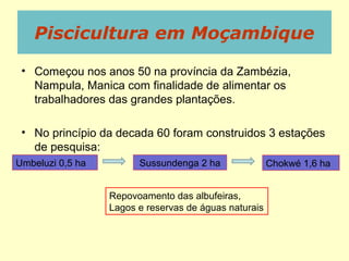 Piscicultura em Moçambique
• Começou nos anos 50 na província da Zambézia,
Nampula, Manica com finalidade de alimentar os
trabalhadores das grandes plantações.
• No princípio da decada 60 foram construidos 3 estações
de pesquisa:
Umbeluzi 0,5 ha Chokwé 1,6 haSussundenga 2 ha
Repovoamento das albufeiras,
Lagos e reservas de águas naturais
 