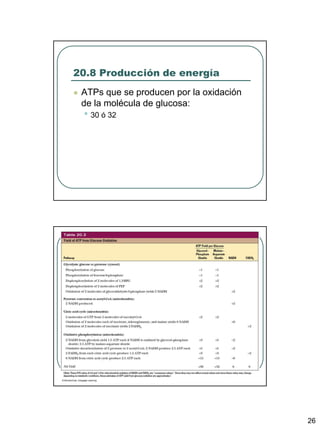 20.8 Producción de energía
   ATPs que se producen por la oxidación
    de la molécula de glucosa:
    • 30 ó 32




                                            26
 