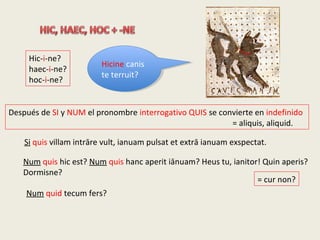 Hic-i-ne?
haec-i-ne?
hoc-i-ne?
Después de SI y NUM el pronombre interrogativo QUIS se convierte en indefinido
= aliquis, aliquid.
Si quis villam intrāre vult, ianuam pulsat et extrā ianuam exspectat.
Num quid tecum fers?
Num quis hic est? Num quis hanc aperit iānuam? Heus tu, ianitor! Quin aperis?
Dormisne?
= cur non?
Hicine canis
te terruit?
Hicine canis
te terruit?
 