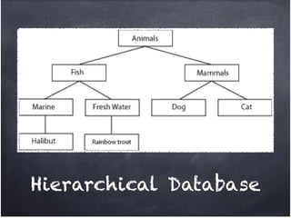 Hierarchical Database
 