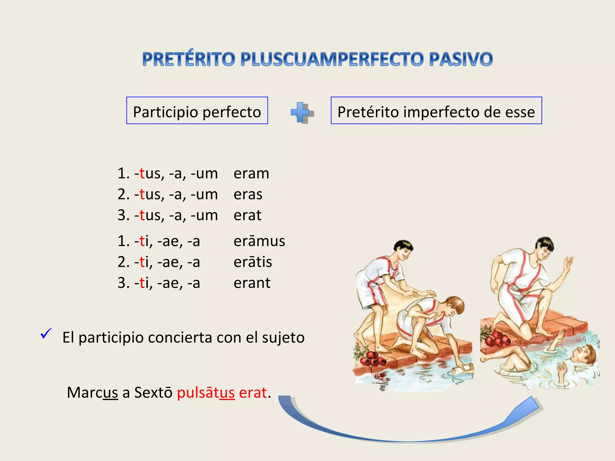 Participio perfecto Pretérito imperfecto de esse
1. -tus, -a, -um
2. -tus, -a, -um
3. -tus, -a, -um
eram
eras
erat
1. -ti, -ae, -a
2. -ti, -ae, -a
3. -ti, -ae, -a
erāmus
erātis
erant
 El participio concierta con el sujeto
Marcus a Sextō pulsātus erat.
 