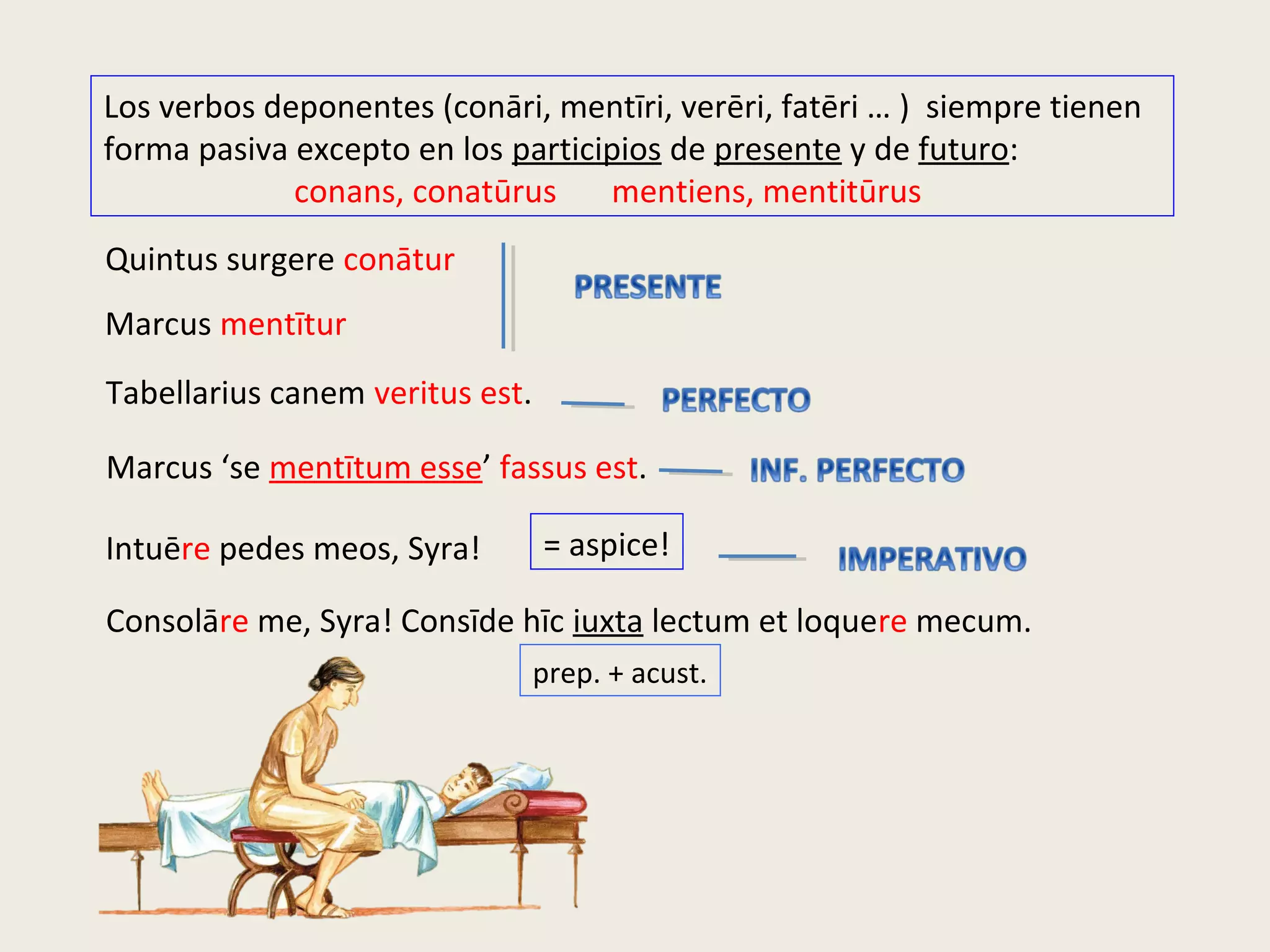 Los verbos deponentes (conāri, mentīri, verēri, fatēri … ) siempre tienen
forma pasiva excepto en los participios de presente y de futuro:
conans, conatūrus mentiens, mentitūrus
Quintus surgere conātur
Marcus mentītur
Tabellarius canem veritus est.
Marcus ‘se mentītum esse’ fassus est.
Intuēre pedes meos, Syra! = aspice!
Consolāre me, Syra! Consīde hīc iuxta lectum et loquere mecum.
prep. + acust.
 