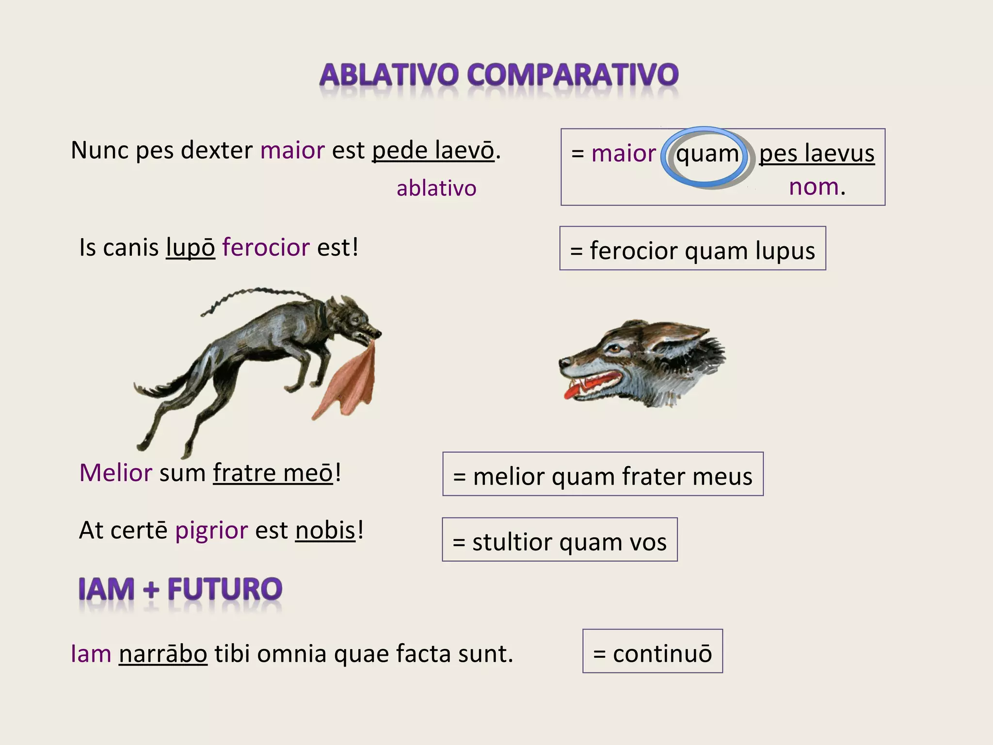Nunc pes dexter maior est pede laevō.
Is canis lupō ferocior est!
= maior quam pes laevus
nom.
= ferocior quam lupus
Melior sum fratre meō! = melior quam frater meus
At certē pigrior est nobis! = stultior quam vos
Iam narrābo tibi omnia quae facta sunt. = continuō
ablativo
 