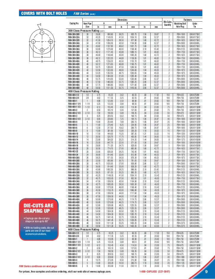 Cap25797 Pipe and Flange Brochure