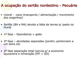 A ocupação do sertão nordestino - Pecuária Litoral -  cana (transporte / alimentação / movimento dos engenhos) Sertão (BA e MA) devido a falta de terras p/ pasto no litoral 1ª fase – fazendeiros + gado 2ª fase – atividades separadas (porém, pertenciam a um dono só) 3ª fase separação total (servia p/ a economia açucareira e mineração (MT + GO) 