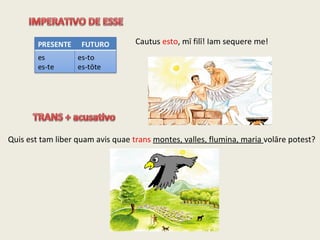 Cautus esto, mī filī! Iam sequere me!
Quis est tam liber quam avis quae trans montes, valles, flumina, maria volāre potest?
 