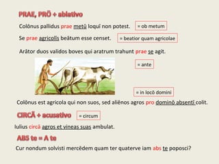 Colōnus pallidus prae metū loquī non potest.
Se prae agricolīs beātum esse censet.
Arātor duos validos boves qui aratrum trahunt prae se agit.
Iulius circā agros et vineas suas ambulat.
Colōnus est agricola qui non suos, sed aliēnos agros pro dominō absentī colit.
Cur nondum solvisti mercēdem quam ter quaterve iam abs te poposci?
= ante
= beatior quam agricolae
= ob metum
= in locō domini
= circum
 