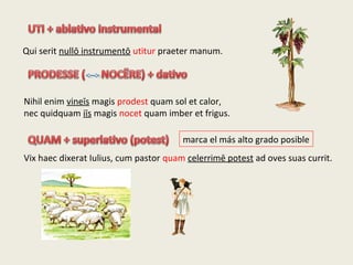 Qui serit nullō instrumentō utitur praeter manum.
Nihil enim vineīs magis prodest quam sol et calor,
nec quidquam iīs magis nocet quam imber et frigus.
Vix haec dixerat Iulius, cum pastor quam celerrimē potest ad oves suas currit.
marca el más alto grado posible
 