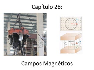 Capítulo 28:
Campos Magnéticos
 