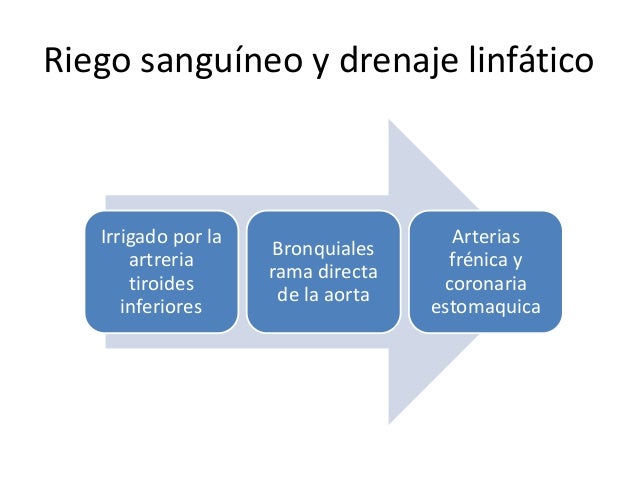 Anatomia De Gardner Pdf Writer