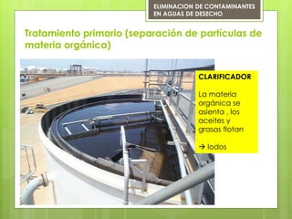 Tratamiento primario (separación de partículas de
materia orgánica)
ELIMINACION DE CONTAMINANTES
EN AGUAS DE DESECHO
CLARIFICADOR
La materia
orgánica se
asienta , los
aceites y
grasas flotan
 lodos
 