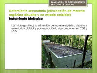 Tratamiento secundario (eliminación de materia
orgánica disuelta y en estado coloidal)
tratamiento biológico
ELIMINACION DE CONTAMINANTES
EN AGUAS DE DESECHO
Los microrganismos se alimentan de materia orgánica disuelta y
en estado coloidal y por respiración la descomponen en CO2 y
H2O.
 