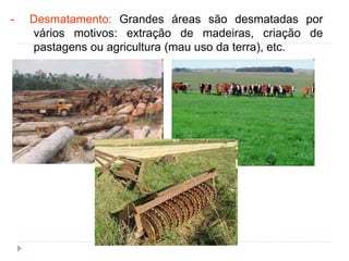 - Desmatamento: Grandes áreas são desmatadas por
vários motivos: extração de madeiras, criação de
pastagens ou agricultura (mau uso da terra), etc.
 