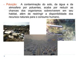 - Poluição: A contaminação do solo, da água e da
atmosfera por poluentes, acaba por reduzir as
chances dos organismos sobreviverem em seu
habitat, além de restringir a disponibilidade dos
recursos naturais para o consumo humano.
 