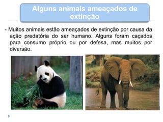 - Muitos animais estão ameaçados de extinção por causa da
ação predatória do ser humano. Alguns foram caçados
para consumo próprio ou por defesa, mas muitos por
diversão.
Alguns animais ameaçados de
extinção
 