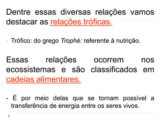 Dentre essas diversas relações vamos
destacar as relações tróficas.
- Trófico: do grego Trophé: referente à nutrição.
Essas relações ocorrem nos
ecossistemas e são classificados em
cadeias alimentares.
- É por meio delas que se tornam possível a
transferência de energia entre os seres vivos.
 