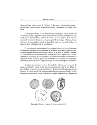 72  Manual I: Teoría 
Strongyloides;  tenias  como  T.  Solium,  T.  Saginata,  Hymenolepis  nana  y 
protozoarios como Giardia, Cryptosporidium  y Entamoeba histolytica,  entre 
otros. 
El enteroparasitismo es una dolencia que contribuye a elevar el índice de 
desnutrición infantil y produce alteraciones en el crecimiento, interferencias con 
la  absorción de nutrientes,  cuadros de  anemia  y  de  ulceración  de  la  mucosa 
intestinal, incremento de casos de alergias, pérdida de energía y letargo, lo que 
disminuye la capacidad de trabajo y la productividad y, en general, produce un 
deterioro de la calidad de vida en la población. 
El mecanismo de transmisión de los enteroparásitos es la ingestión de agua 
o alimentos contaminados, principalmente de productos agrícolas de consumo crudo. 
Algunas especies también se transmiten a través de la piel o de persona a persona. 
La  transmisión  de  las  enfermedades  enteroparasitarias  depende  de  factores 
ambientales, ecológicos y socioculturales. Se requiere una fuente de infección, la 
dispersión de los huevos y quistes en el ambiente, la ocurrencia de condiciones 
ambientales que favorezcan su supervivencia y la presencia de huéspedes susceptibles. 
Estudios procedentes de países  desarrollados indican que la mayoría de 
aguas superficiales  tienen  niveles  de contaminación  parasitaria que  deben ser 
considerados en los procesos de tratamiento y desinfección del agua de consumo 
humano. Se afirma que 60% de los casos de giardiasis ocurridos en Estados Unidos 
han sido transmitidos por vía hídrica. Diversos estudios epidemiológicos demuestran 
Figura 2­5. Huevos y quistes de enteroparásitos (16)
 
