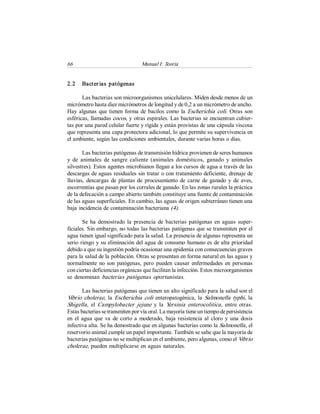 66  Manual I: Teoría 
2.2  Bacterias  patógenas 
Las bacterias son microorganismos unicelulares. Miden desde menos de un 
micrómetro hasta diez micrómetros de longitud y de 0,2 a un micrómetro de ancho. 
Hay algunas que tienen forma de bacilos como  la Escherichia coli. Otras son 
esféricas, llamadas cocos, y otras espirales. Las bacterias se encuentran cubier­ 
tas por una pared celular fuerte y rígida y están provistas de una cápsula viscosa 
que representa una capa protectora adicional, lo que permite su supervivencia en 
el ambiente, según las condiciones ambientales, durante varias horas o días. 
Las bacterias patógenas de transmisión hídrica provienen de seres humanos 
y  de  animales  de  sangre  caliente  (animales  domésticos,  ganado  y  animales 
silvestres). Estos agentes microbianos llegan a los cursos de agua a través de las 
descargas de aguas residuales sin tratar o con tratamiento deficiente, drenaje de 
lluvias,  descargas de plantas de procesamiento de  carne de ganado y de aves, 
escorrentías que pasan por los corrales de ganado. En las zonas rurales la práctica 
de la defecación a campo abierto también constituye una fuente de contaminación 
de las aguas superficiales. En cambio, las aguas de origen subterráneo tienen una 
baja incidencia de contaminación bacteriana (4). 
Se ha  demostrado la  presencia  de bacterias patógenas en  aguas  super­ 
ficiales. Sin embargo, no todas las bacterias patógenas que se transmiten por el 
agua tienen igual significado para la salud. La presencia de algunas representa un 
serio riesgo y su eliminación del agua de consumo humano es de alta prioridad 
debido a que su ingestión podría ocasionar una epidemia con consecuencias graves 
para la salud de la población. Otras se presentan en forma natural en las aguas y 
normalmente no son patógenas, pero pueden causar enfermedades  en personas 
con ciertas deficiencias orgánicas que facilitan la infección. Estos microorganismos 
se  denominan bacterias  patógenas  oportunistas. 
Las bacterias patógenas que tienen un alto significado para la salud son el 
Vibrio cholerae, la  Escherichia coli enteropatogénica, la  Salmonella typhi, la 
Shigella,  el  Campylobacter  jejune  y  la  Y
ersinia enterocolitica,  entre  otras. 
Estas bacterias se transmiten por vía oral. La mayoría tiene un tiempo de persistencia 
en el agua que  va  de corto a moderado, baja resistencia al cloro y  una  dosis 
infectiva alta. Se ha demostrado que en algunas bacterias como la Salmonella, el 
reservorio animal cumple un papel importante. También se sabe que la mayoría de 
bacterias patógenas no se multiplican en el ambiente, pero algunas, como el Vibrio 
cholerae, pueden multiplicarse en aguas naturales.
 