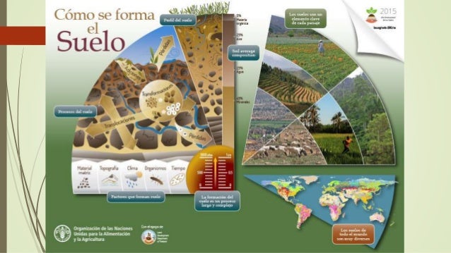Factores de formación de los suelos