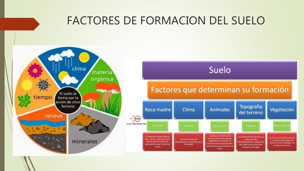 Factores de formación de los suelos