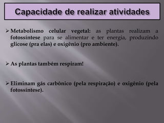 Metabolismo celular vegetal: as plantas realizam a
fotossíntese para se alimentar e ter energia, produzindo
glicose (pra elas) e oxigênio (pro ambiente).
As plantas também respiram!
Eliminam gás carbônico (pela respiração) e oxigênio (pela
fotossíntese).
 
