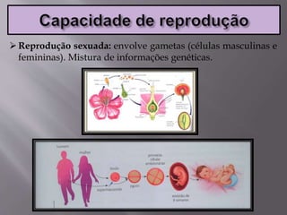 Reprodução sexuada: envolve gametas (células masculinas e
femininas). Mistura de informações genéticas.
 
