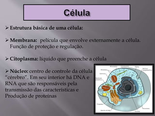 Estrutura básica de uma célula:
Membrana: película que envolve externamente a célula.
Função de proteção e regulação.
Citoplasma: líquido que preenche a célula
Núcleo: centro de controle da célula
“cérebro”. Em seu interior há DNA e
RNA que são responsáveis pela
transmissão das características e
Produção de proteínas
 