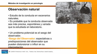 Observación natural
• Estudio de la conducta en escenarios
naturales.
• Es probable que la conducta observada
sea más precisa, espontánea y variada
que la estudiada en laboratorio.
• Un problema potencial es el sesgo del
observador.
•Sesgo del Observador: expectativas o
predisposiciones del observador que
pueden distorsionar o influir en su
interpretación.
Métodos de investigación en psicología
 