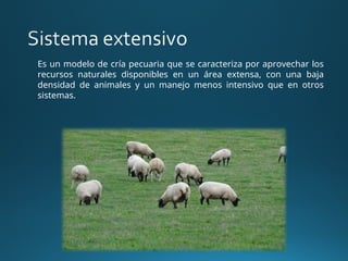 Es un modelo de cría pecuaria que se caracteriza por aprovechar los
recursos naturales disponibles en un área extensa, con una baja
densidad de animales y un manejo menos intensivo que en otros
sistemas.
 