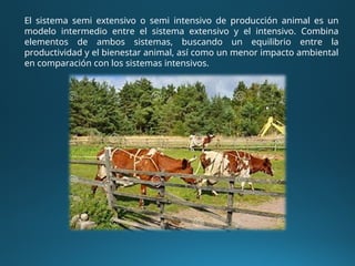 El sistema semi extensivo o semi intensivo de producción animal es un
modelo intermedio entre el sistema extensivo y el intensivo. Combina
elementos de ambos sistemas, buscando un equilibrio entre la
productividad y el bienestar animal, así como un menor impacto ambiental
en comparación con los sistemas intensivos.
 