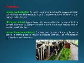 Ventajas:
•Mayor productividad: Se logra una mayor producción en comparación
con los sistemas extensivos, gracias a la suplementación alimenticia y un
manejo más eficiente.
•Bienestar animal: Los animales tienen más libertad de movimiento y
pueden expresar su comportamiento natural en mayor medida que en
los sistemas intensivos.
•Menor impacto ambiental: El menor uso de concentrados y la menor
densidad animal pueden reducir el impacto ambiental en comparación
con los sistemas intensivos.
 