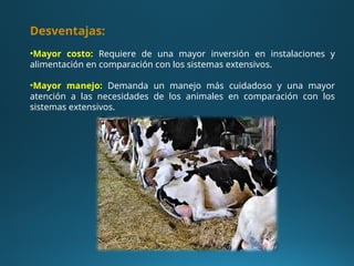 Desventajas:
•Mayor costo: Requiere de una mayor inversión en instalaciones y
alimentación en comparación con los sistemas extensivos.
•Mayor manejo: Demanda un manejo más cuidadoso y una mayor
atención a las necesidades de los animales en comparación con los
sistemas extensivos.
 