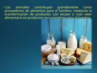 Los animales contribuyen grandemente como
proveedores de alimentos para el hombre, mediante la
transformación de productos con escaso o nulo valor
alimentario en productos muy nutritivos para el hombre.
 