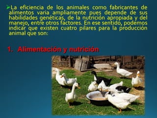 1.
1. Alimentación y nutrición
Alimentación y nutrición
 