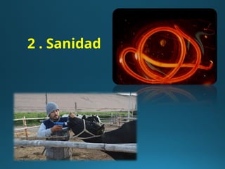 2 . Sanidad
 