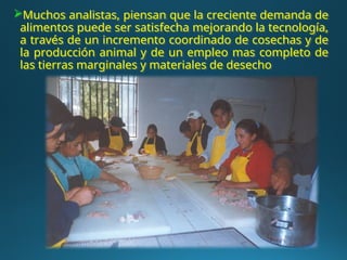 Muchos analistas, piensan que la creciente demanda de
alimentos puede ser satisfecha mejorando la tecnología,
a través de un incremento coordinado de cosechas y de
la producción animal y de un empleo mas completo de
las tierras marginales y materiales de desecho
 