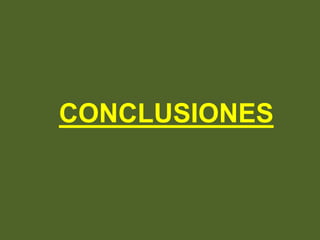 CONCLUSIONES
 