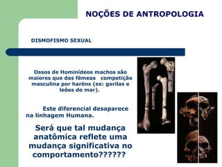 NOÇÕES DE ANTROPOLOGIA DISMOFISMO SEXUAL Ossos de Hominídeos machos são maiores que das fêmeas  competição masculina por h...