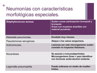 +
Neumonías con características
morfológicas especiales.
Staphylococcus aureus. Suelen cursar participación bronquial y
bronquiar.
Áreas con muestras amarillas con
material purulento.
Klebsiella penumoniae. Exudado muy viscoso.
Pseudomonas aeruginosa. Ataque a los vasos sanguíneos.
Actinomicosis. Lesiones por este microrganismo suelen
consistir en trayectos fistulosos.
Nocardiosis Se asocian a inmunodeprimidos.
Microorganismo Gram + para identificar
con tinciones acido-alcohol resitente.
Legionella pneumophila. Puede cultivarse en medio de mueller-
hinton.
 